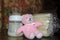 Baby bottle with fresh expresed breast milk, frozen breastmilk in storage bags and soft toy pink teddy bear