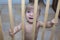 Baby boy behind the wooden safety gate of stairs