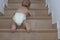 Baby boy crawling up the stairs