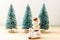 Baby boy doll and motorbike with chrismas trees background