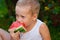 Baby boy eats a piece of ripe red watermelon. Happy childhood in the summer in the backyard. Caucasian boy enjoys an outdoor