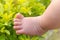 Baby boy foots touching on fresh tree leaves in the morning with warm sunlight at summer time. baby learning the new experience of