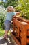 Baby boy is  holding tomato plant in raised flower bed