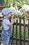 Baby boy looking Greater flamingoes in zoo