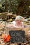 Baby boy in metal pot with sign gone fishing