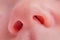 Baby boy nose close up, newborn child face - nostrils macro