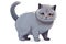 Baby British Shorthair Cat Sticker On Isolated Tansparent Background, Png, Logo. Generative AI