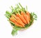 Baby carrot leaf fresh in basket on white background