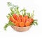 Baby carrot leaf fresh in basket on white background