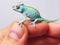 Baby chameleon resting on human finger. Lizard miniature. AI generated