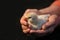 Baby chick being held in hands