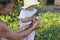 Baby chicken in hands of adult with child touching its feathers.