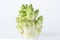 Baby Chinese Cabbage(Brassica juncea Coss), Chinese New Year vegetables