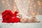 Baby in a Christmas hat with Santa Claus red bag