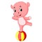 A baby circus hippo balancing on a big ball