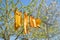 Baby clothes and boots hang on a string after washing and dry in the sun and wind