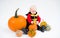 Baby in costume with pumpkins on white background