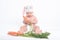 Baby in a costume of rabbit nibbling carrot