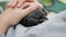 Baby Crow Petting, Girl Helping a Lost Raven, Crow Cub in Hands, Closeup Bird