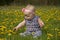 Baby in Dandelions