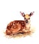 Baby Deer Watercolor Fawn Animal Illustration Hand Painted