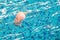 Baby doll floating in a swimming pool, The dangers of children d