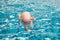 Baby doll floating in a swimming pool, The dangers of children d