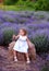 baby in a dress plays with hay in a lavender field