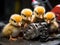 Baby ducks playfully welding with toy tools