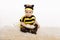 Baby earing bee costume sitting on the floo