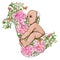 Baby eat mother\\\'s breast milk. ?omparison of breast milk with flowers.