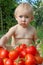 Baby eats ripe tomatoes