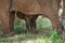 Baby elephant is close to his mother. Africa. Kenya. Tanzania. Serengeti. Maasai Mara.