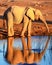 Baby elephant reflection