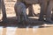 Baby elephant at waterhole