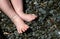 Baby feet on beach pebble