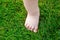 Baby feet on the green grass. Feet of little kid staying on green grass outdoors. Kids bare legs standing on grass