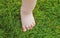 Baby feet on the green grass. Feet of little kid staying on green grass outdoors. Kids bare legs standing on grass