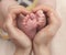 Baby feet in mother hands. Feet on female heart shaped hands closeup. Happy family concept. Mom and her child.