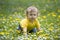 Baby on a flowery meadow