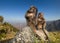 Baby Gelada monkeys sittting on a rock