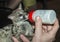 Baby genet animal feed by bottle