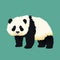 Baby giant panda standing. Black and white chinese bear cub.
