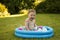 Baby gir splashing in a paddling pool