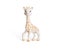 Baby Giraffe doll isolated on white background with shadow reflection