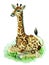 Baby giraffe sitting on grass, hand drawn watercolor