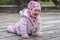 Baby girl with balaclava is crawling in the park