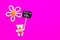 Baby Girl - bear and flower on pink background with It`s a Girl blackboard sign