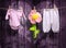 Baby girl clothes and a flower on a clothesline
