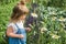 Baby girl collects a bouquet of homemade tea. chamomile, mint and lemon balm. natural food in the village